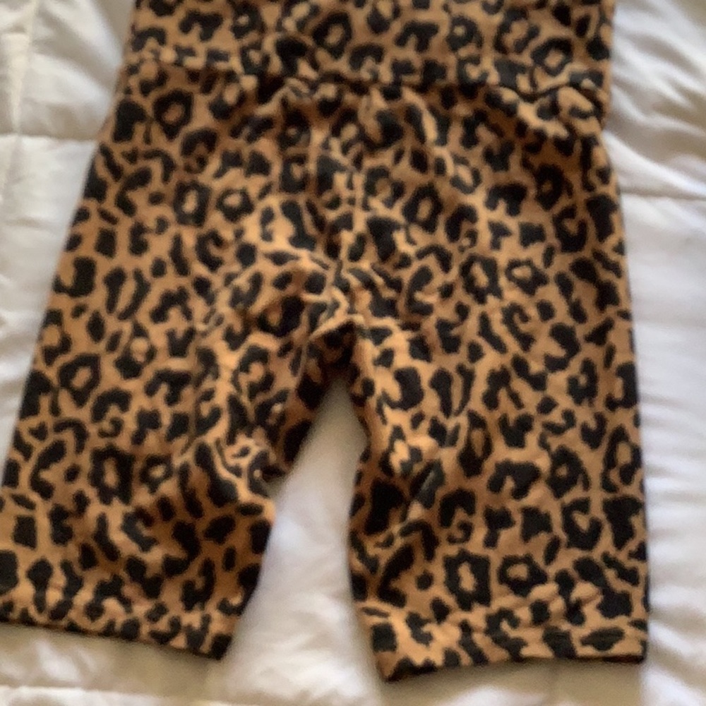 Wild Fable Shorts - Picture 2 of 3